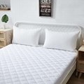 Anti Bacteria Hypoallergenic Hotel Bed Use Waterproof Mattress Protector