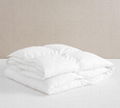 Reversible Bacteriostatic Hypoallergenic Warm Antibacterial  Duvet Comforter