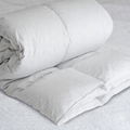 Reversible Bacteriostatic Hypoallergenic Warm Antibacterial  Duvet Comforter