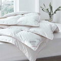 Reversible Bacteriostatic Hypoallergenic Warm Antibacterial  Duvet Comforter 4