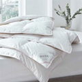 Lightweight And Warm Bedding Filled Polyester Quilt And Comfortable Large Duvet