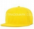 Baseball Caps
