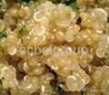 Quinoa grain. Organic and conventional 5