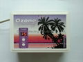 Kitchen Ozone Generator Water Purifier