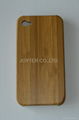 Bamboo iPhone Case