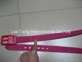 Plastic belt 1