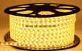 ETL CE IP65 120V 220V  5050 led strip