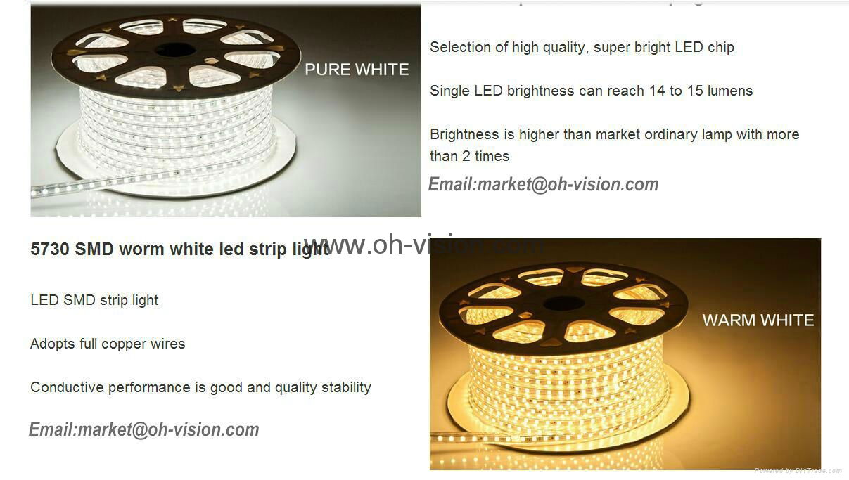 ETL CE IP65 120V 220V  5050 led strip light 2