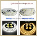 ETL CE led flexible light 3014/5050/2835 strip light 3