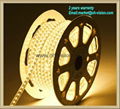 ETL CE led flexible strip light 3014/5050/2835 waterproof strip light