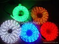 LED 彩虹管/水管燈