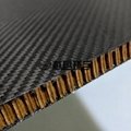碳纤维夹芯板厂碳纤维泡沫床板定制 4