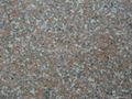 red granite---G696(polished) 4