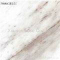 white marble--arabescato 4