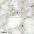 white marble--arabescato 5