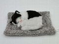 synthetic fur animals sleeping cat