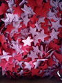 The Christmas decoration- pine tree, snowflake, five Cape stars