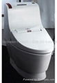 Automatic Bidet & Sanitaryware Accessories 3