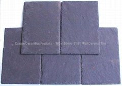 Stone Roofing Slate DS8006A