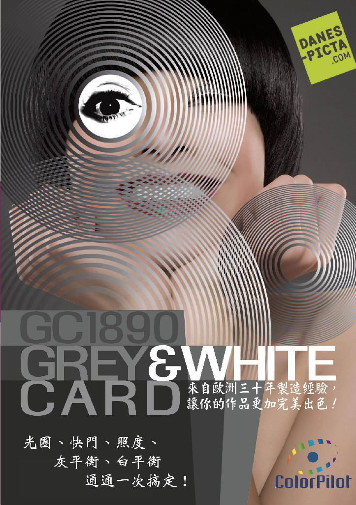 Gery & White Card 2