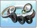 PTFE seals lip seals