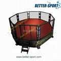 MMA cage