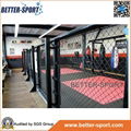 Octagon Hexagon circle MMA cage 2