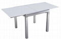 Export brushed aluminium extension table 