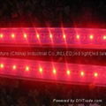 1M  48LEDs waterproof SMD5050 rigid strip light 5