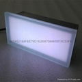 Shenzhen Best 200*100 Glass Brick Price LED Brick Floor Tile 