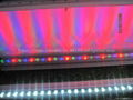 24W LED Wall Washer