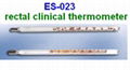  clinical thermometer 3