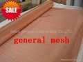 anti-electromagnetic interference wire mesh cloth