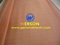 Copper Wire Mesh