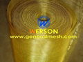 brass wire mesh ,EMI shielding wire cloth 