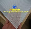 14 mesh stainless steel security screen