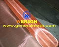 copper Electrode collecting mesh,silver Electrode collecting mesh