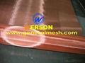 copper Electrode collecting mesh,silver Electrode collecting mesh