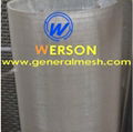 Molybdenum wire cloth