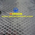 Automotive mesh grill ,auto front BUMPER MESH GRILL