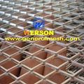 Automotive mesh grill ,auto front BUMPER MESH GRILL