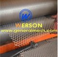 Micro mesh expanded metal in titanium,nickel,stainless steel ,copper