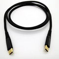 Gold Plated Nylon Braid Type c to Type c Charging Cable  6