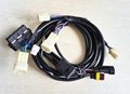 Wiring Harness for Motocycle Cruise Controls