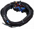 Wiring Harness Assembly for Automotive Aftermarket 1