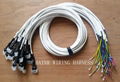 Wire Harness for Home Appliances