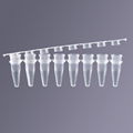 Lab supplies pcr 8-strip tube with Flat Cover 0.1ml 2