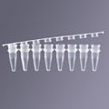 Lab supplies pcr 8-strip tube with Flat Cover 0.1ml