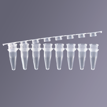 laboratory No DNase and RNase PCR 8 strip tubes with with flat cover 0.2ml 5