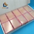 Lab Consumable in Sealed Rack Sterile Long Type 10ul Micro Pipette Filter Tips